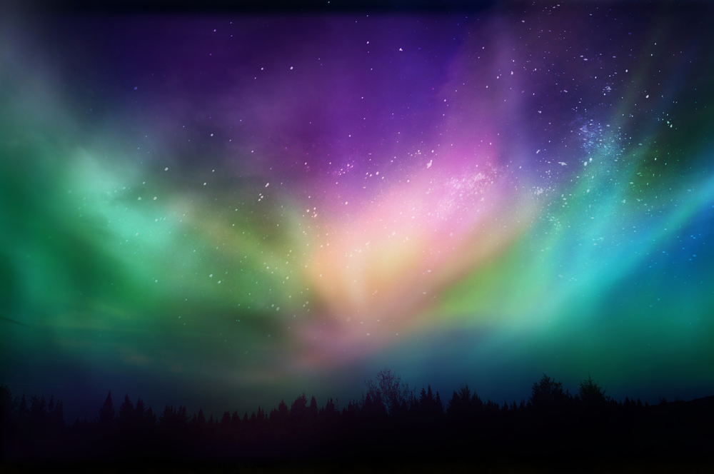 Multicolored Northern Lights (Aurora Borealis) on Canadian Forest